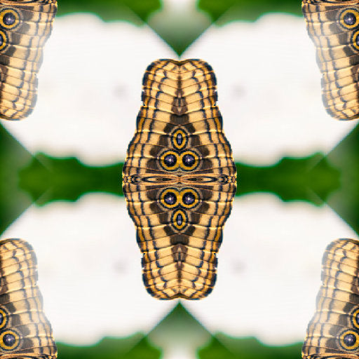 Entomology Mirror wallpaper pattern