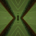 WALLPAPER⁶ — seamless mirror4 pattern from pollen grain microscope, Biology