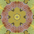 Physics Kaleidoscope wallpaper pattern