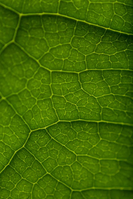 Seamless kaleidoscope wallpaper pattern — Medicine by wallpaper⁶ — base photo: Detailed macro shot highlighting the intricate pattern of green leaf veins.