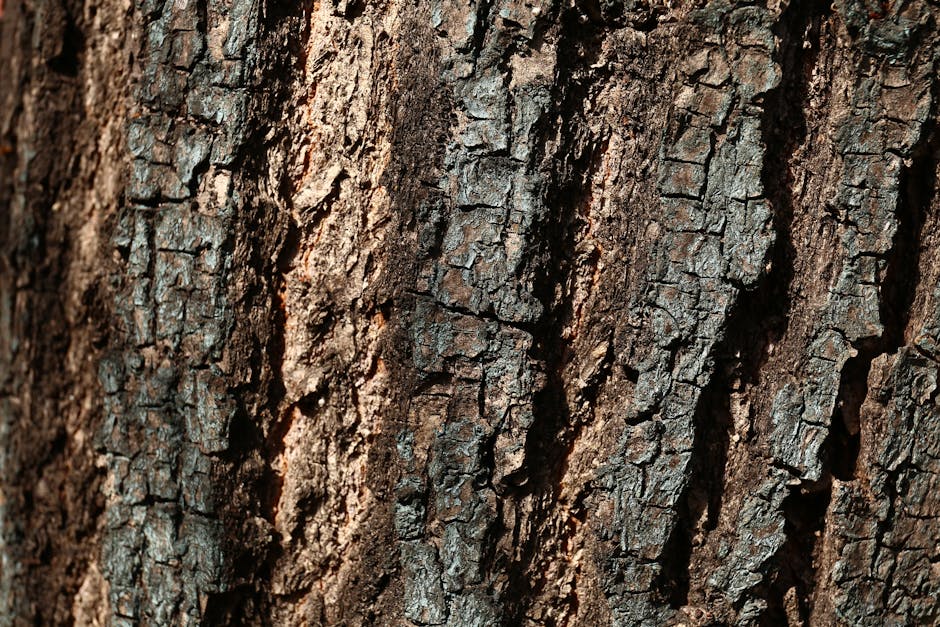 Close-up of a tree bark pattern rendered in a symmetrical kaleidoscope style, showcasing botanical and fractal elements. Designed by wallpaper⁶. — base photo: A close-up photographic study of tree bark by Robert Śliwiński, revealing its rugged surface, subtle