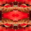 Seamless mirror wallpaper pattern — Origami by wallpaper⁶