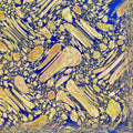 Biology Wave wallpaper pattern