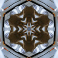 Seamless kaleidoscope wallpaper pattern — Medicine by wallpaper⁶