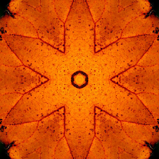 Seamless kaleidoscope wallpaper pattern — Calligraphy by wallpaper⁶