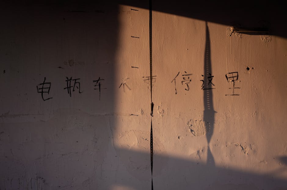 Seamless kaleidoscope wallpaper pattern — Calligraphy by wallpaper⁶ — base photo: Sunlit wall with Chinese characters and shadow play creating a dramatic effect.