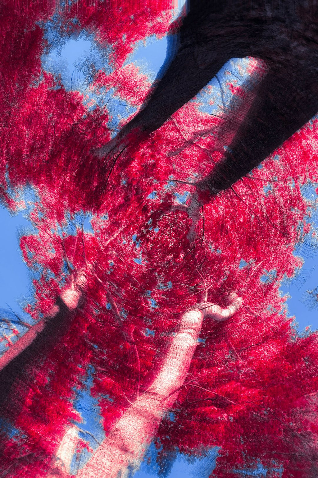 Abstract Rotation wallpaper pattern — base photo: a person with red hair