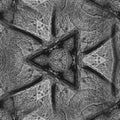 Black and white macro of leaf veins arranged in a hexagonal pattern, representing the Projective Plane Topology wallpaper.