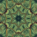 Portraits Kaleidoscope wallpaper pattern