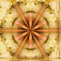 A seamless repeat pattern of Borromean Rings arranged in a symmetrical kaleidoscope on a white background, symbolizing topological connections.