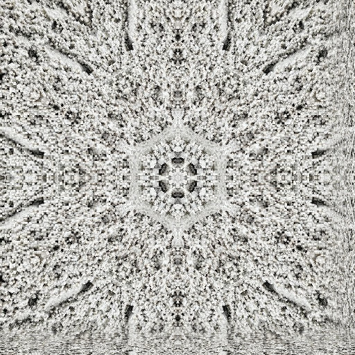 Entomology Kaleidoscope wallpaper pattern