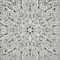 Entomology Kaleidoscope wallpaper pattern