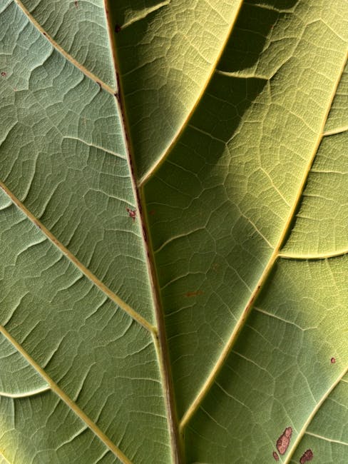Chemistry Hexagon wallpaper pattern — base photo: Macro photo of a green leaf showcasing detailed veination and texture.