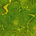 Botanics Wave wallpaper pattern