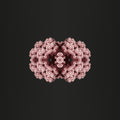 WALLPAPER⁶ — seamless mirror4 pattern from protein structure, Molecular Physics