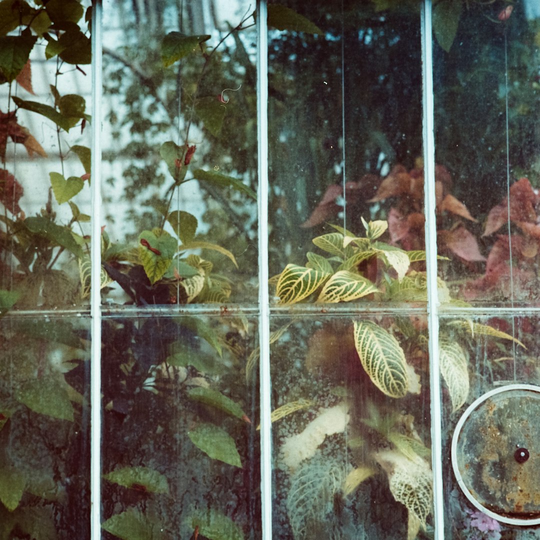 A repeating diamond-shaped pattern of green botanical leaves and stained glass textures in deep emerald and lime hues. — base photo: A high-resolution captures of vibrant green croton plants positioned against the translucent leaded 