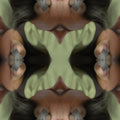 Portraits Mirror wallpaper pattern