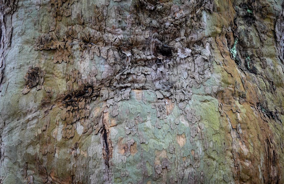 Cryptography Rotation wallpaper pattern — base photo: Detailed view of textured tree bark showcasing natural erosion and patterns.
