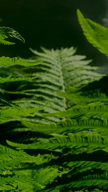Seamless mirror wallpaper pattern — Biochemistry by wallpaper⁶ — base photo: Vibrant green fern leaves in a detailed close-up, capturing natural beauty outdoors in Ukraine.