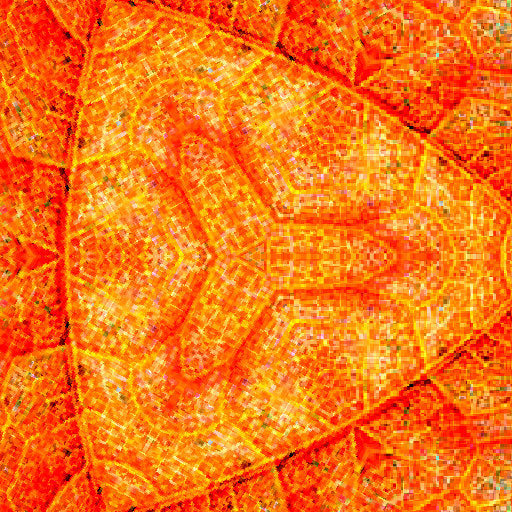 Close-up of an autumn leaf's brown veins, forming an organic hex pattern. Self-adhesive wallpaper design.