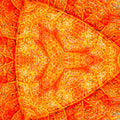 Close-up of an autumn leaf's brown veins, forming an organic hex pattern. Self-adhesive wallpaper design.