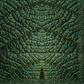 Cryptography Vertical Strip wallpaper pattern