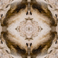 Entomology Mirror wallpaper pattern
