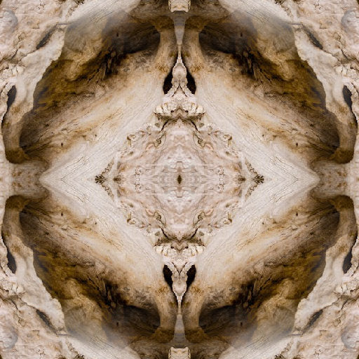 Entomology Mirror wallpaper pattern
