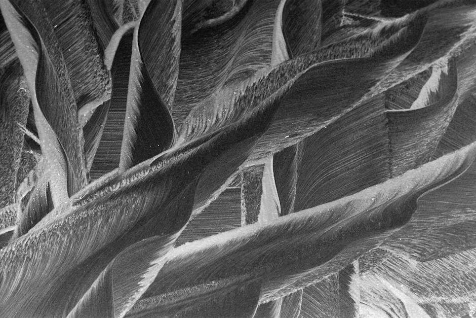 Black and white botanical illustration transformed into a symmetrical kaleidoscope pattern with wallpaper⁶ — base photo: A striking black and white macro photograph captures the abstract elegance of ice crystals. The intr