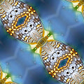 Entomology Diamond wallpaper pattern