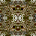 Botanics Mirror wallpaper pattern
