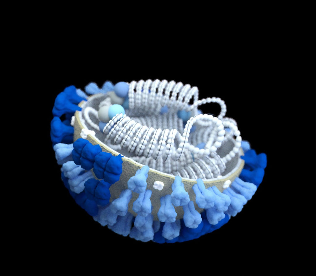 Seamless kaleidoscope wallpaper pattern — Biochemistry by wallpaper⁶ — base photo: This image depicts a 3D generated rendering of a half-sliced, influenza (flu) virus with a grey surf