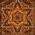 Close-up of tree bark with moss, transformed into a repeating kaleidoscope pattern for botany-themed wallpaper.