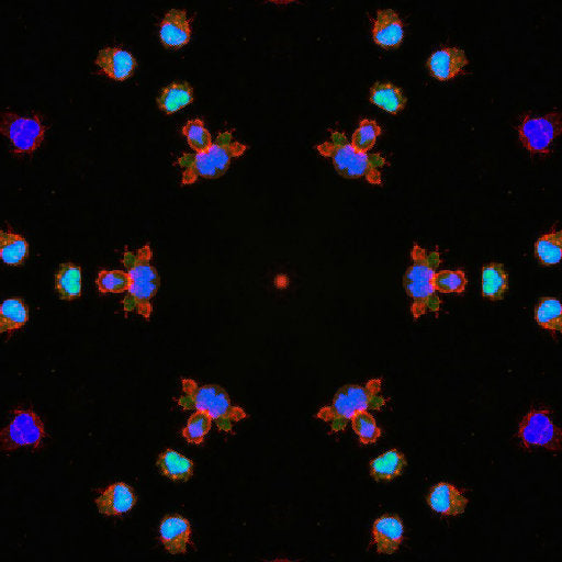 WALLPAPER⁶ — seamless kaleidoscope pattern from neuron synapse, Biology