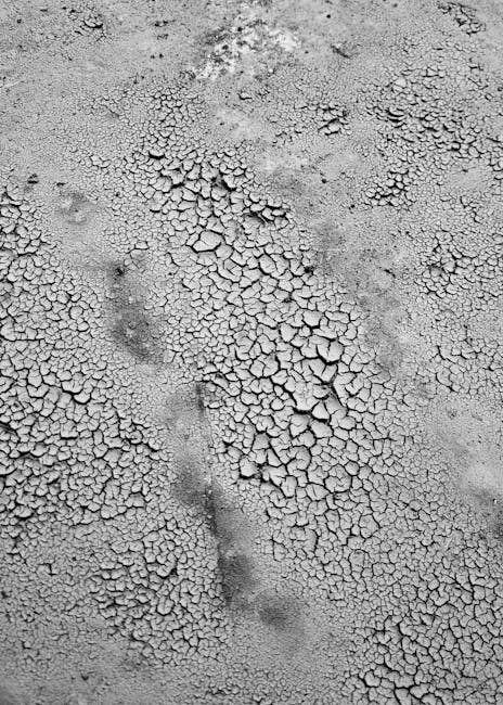 Topology Wave wallpaper pattern — base photo: A close-up black and white image of dry, cracked earth texture, creating a natural abstract pattern.