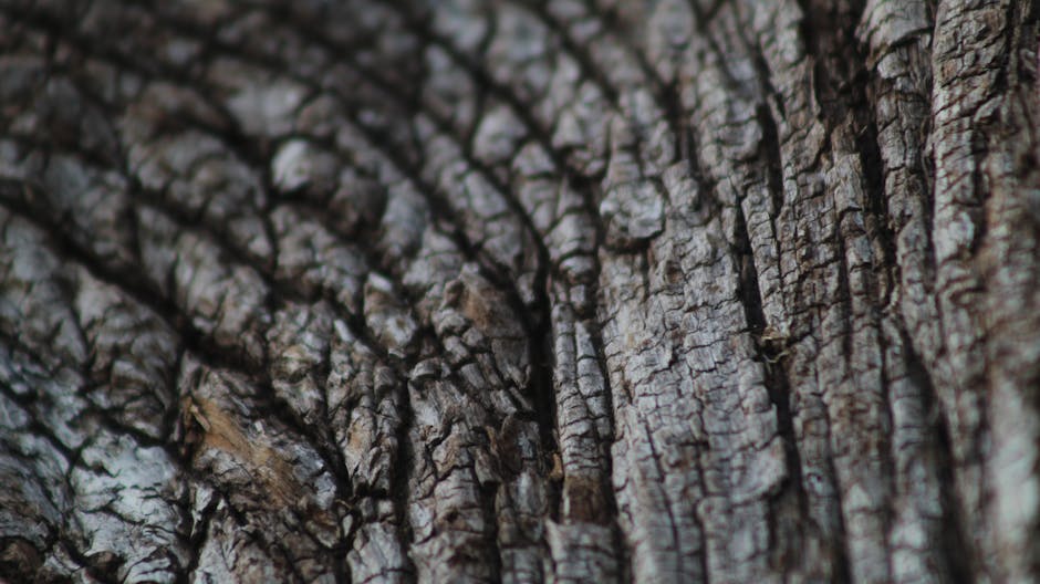 Seamless hex wallpaper pattern — Arithmetic by wallpaper⁶ — base photo: Intricate close-up of tree bark showcasing its natural texture and patterns.