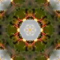 Seamless kaleidoscope wallpaper pattern — Calligraphy by wallpaper⁶