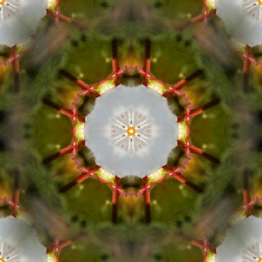 Seamless kaleidoscope wallpaper pattern — Calligraphy by wallpaper⁶