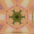 Seamless kaleidoscope wallpaper pattern — Stained Glass by wallpaper⁶