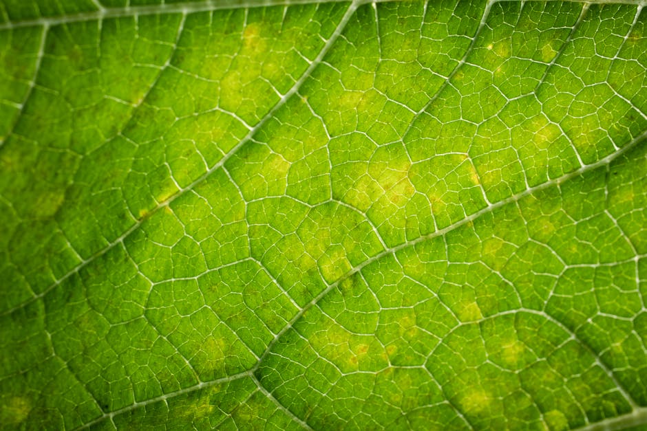 Seamless hex wallpaper pattern — Biochemistry by wallpaper⁶ — base photo: Macro photograph capturing intricate details of a green leaf's veins and texture.