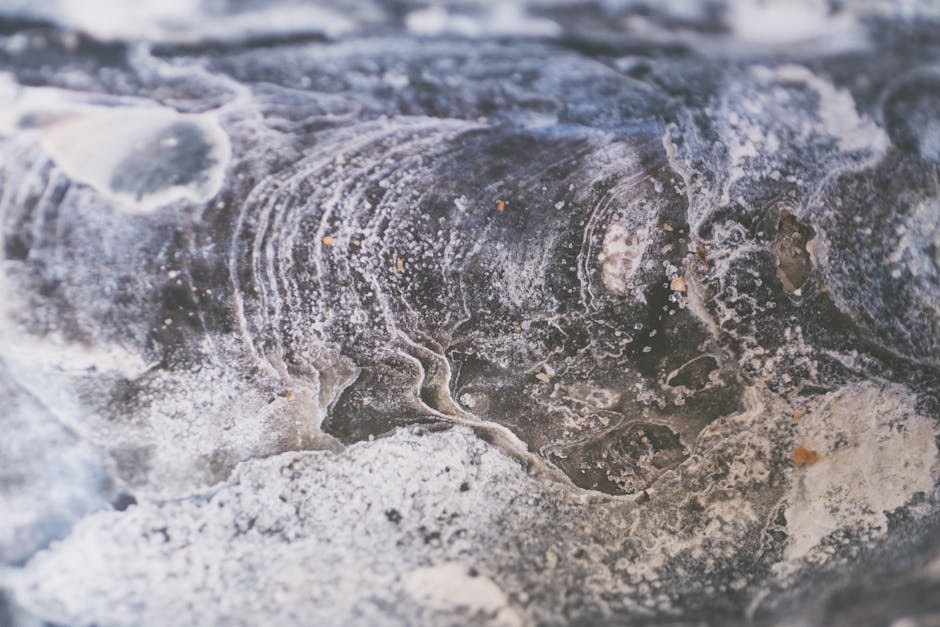 Seamless mirror wallpaper pattern — Cartography by wallpaper⁶ — base photo: Detailed close-up shot of a frost texture, showcasing natural icy formations and patterns.