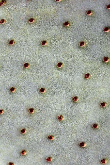 Seamless hex wallpaper pattern — Geometry by wallpaper⁶ — base photo: Detailed macro image of Opuntia cactus with patterned texture and spines.