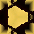 Algorithms Hexagon wallpaper pattern