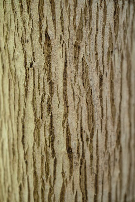 Cryptography Vertical Strip wallpaper pattern — base photo: Detailed close-up of tree bark with natural texture and brown tones, perfect for backgrounds and nat