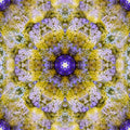 Abstract neural network pattern in a kaleidoscope repeat, rendered in vibrant 3D colors, from Google DeepMind collection.