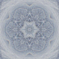 WALLPAPER⁶ — seamless kaleidoscope pattern from fractal nature, Fractals