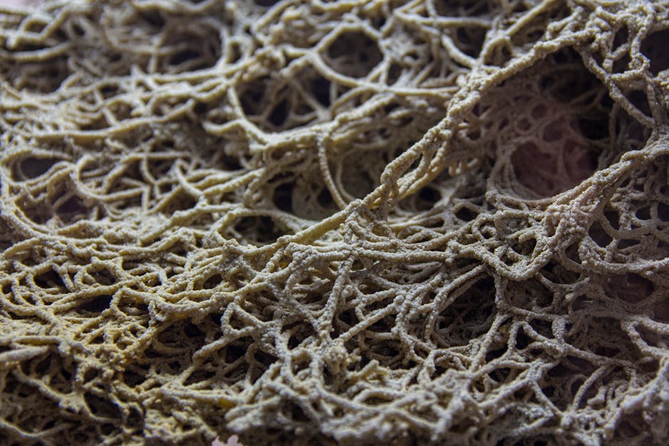 Seamless mirror wallpaper pattern — Biochemistry by wallpaper⁶ — base photo: Detailed shot showcasing tangled plant fibers with a natural texture.