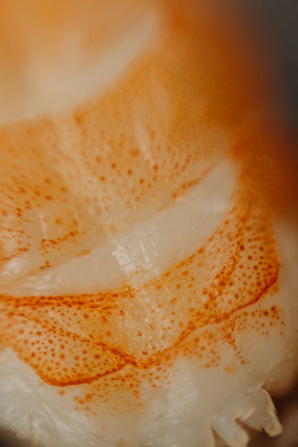 Seamless mirror wallpaper pattern — Biochemistry by wallpaper⁶ — base photo: Macro image showcasing fresh shrimp texture details with vibrant orange and white hues.