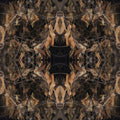 Botanics Mirror wallpaper pattern