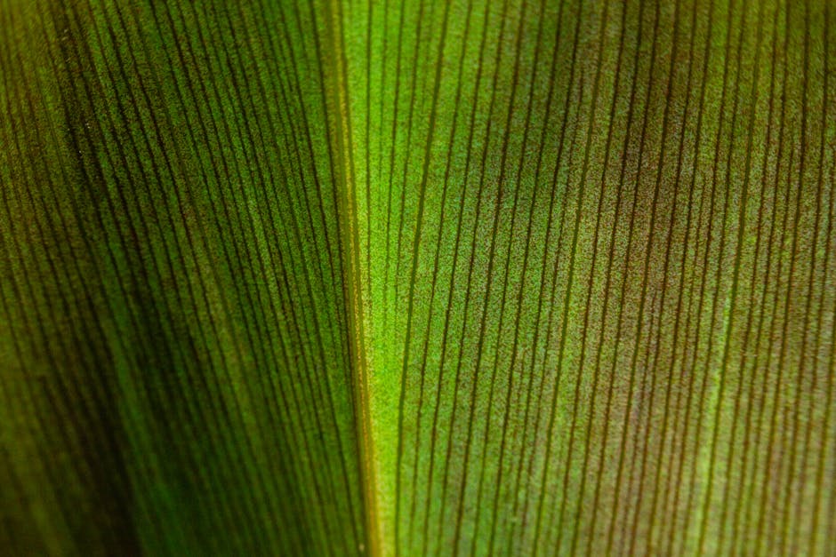Seamless mirror wallpaper pattern — Calligraphy by wallpaper⁶ — base photo: An extreme close-up of a vibrant green leaf showcasing intricate patterns and textures.